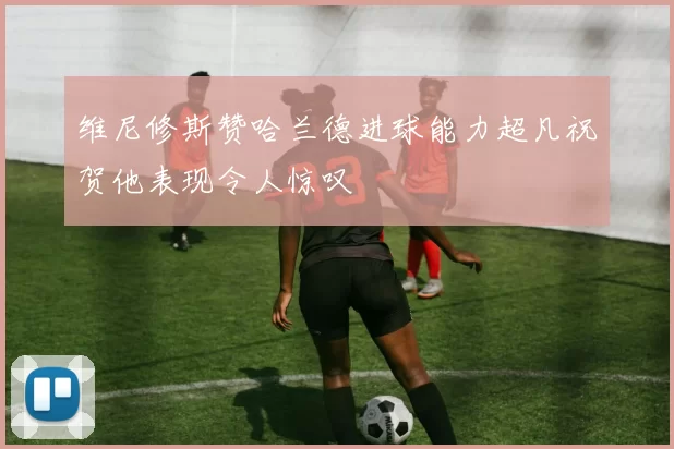 维尼修斯赞哈兰德进球能力超凡祝贺他表现令人惊叹