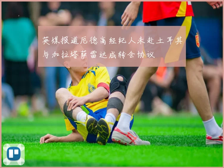 英媒报道厄德高经纪人未赴土耳其与加拉塔萨雷达成转会协议