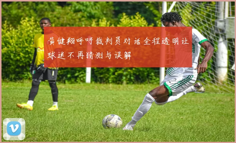黄健翔呼吁裁判员对话全程透明让球迷不再猜测与误解